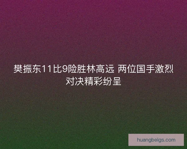 樊振东11比9险胜林高远 两位国手激烈对决精彩纷呈